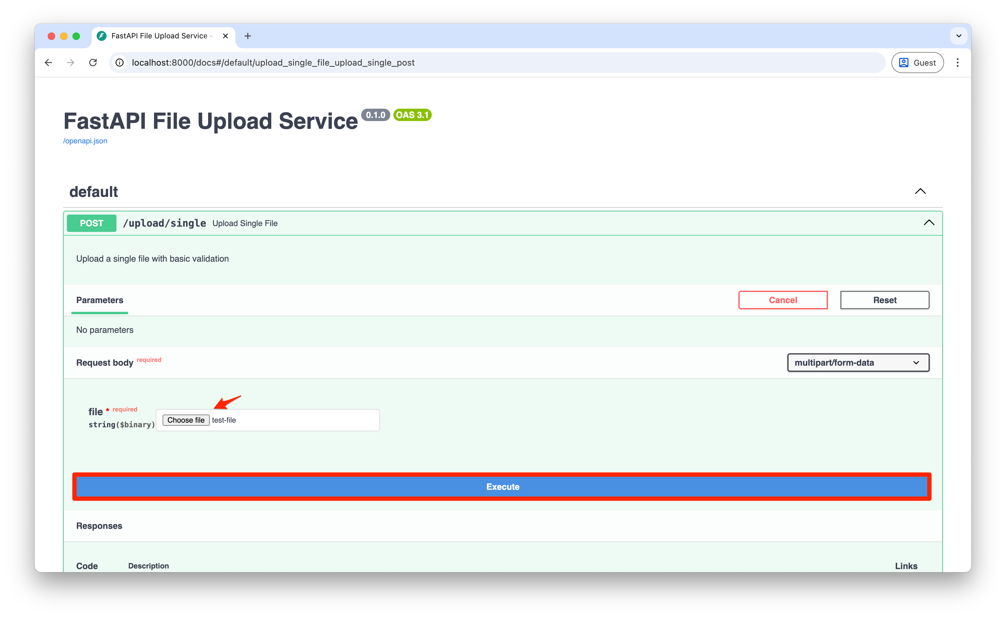 Screenshot of the "Execute" button