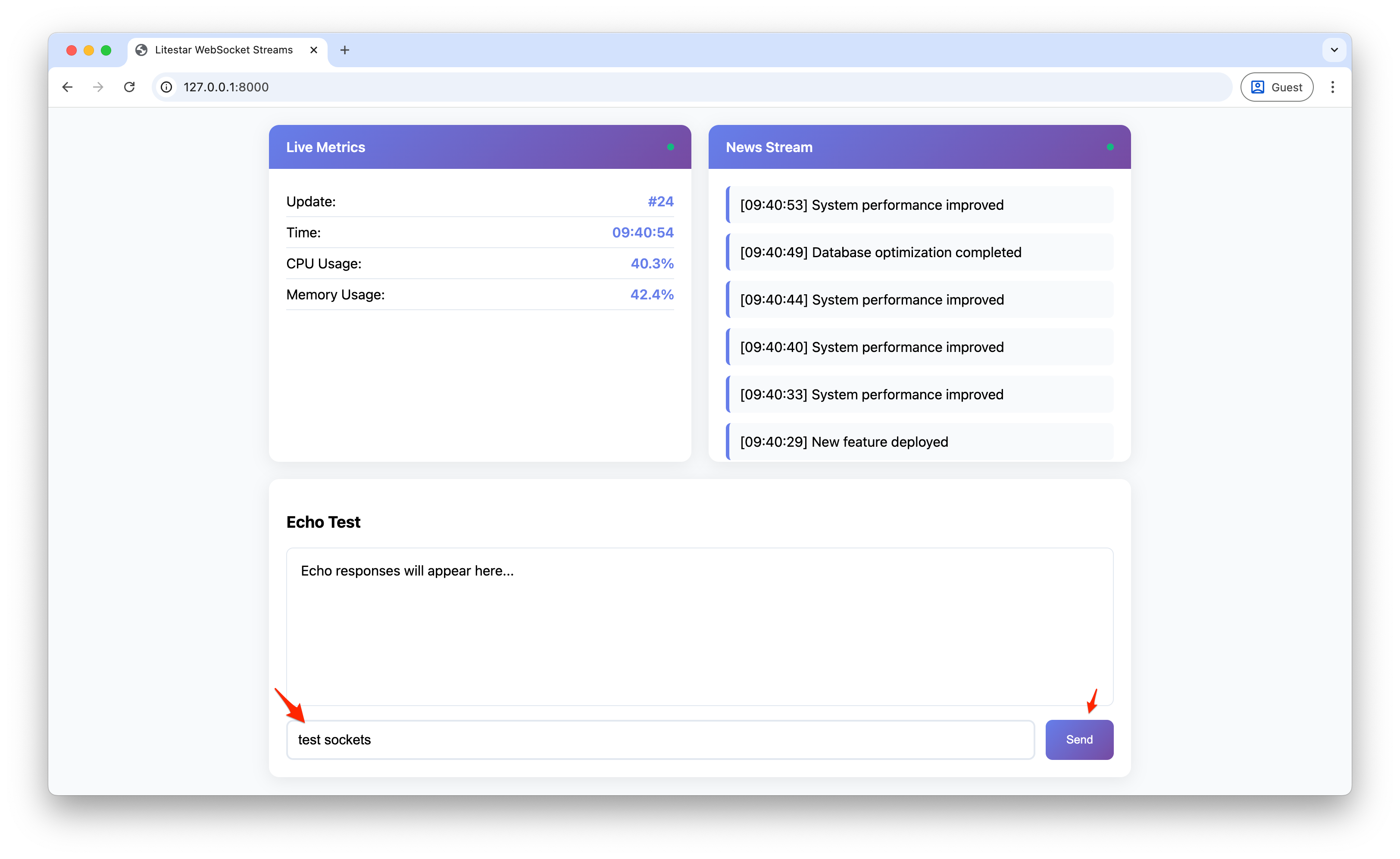 Screenshot showing echo test interaction with streaming dashboard