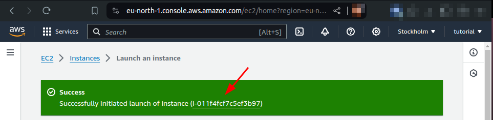 instance identifier