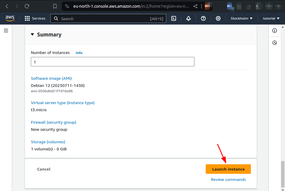 launch instance