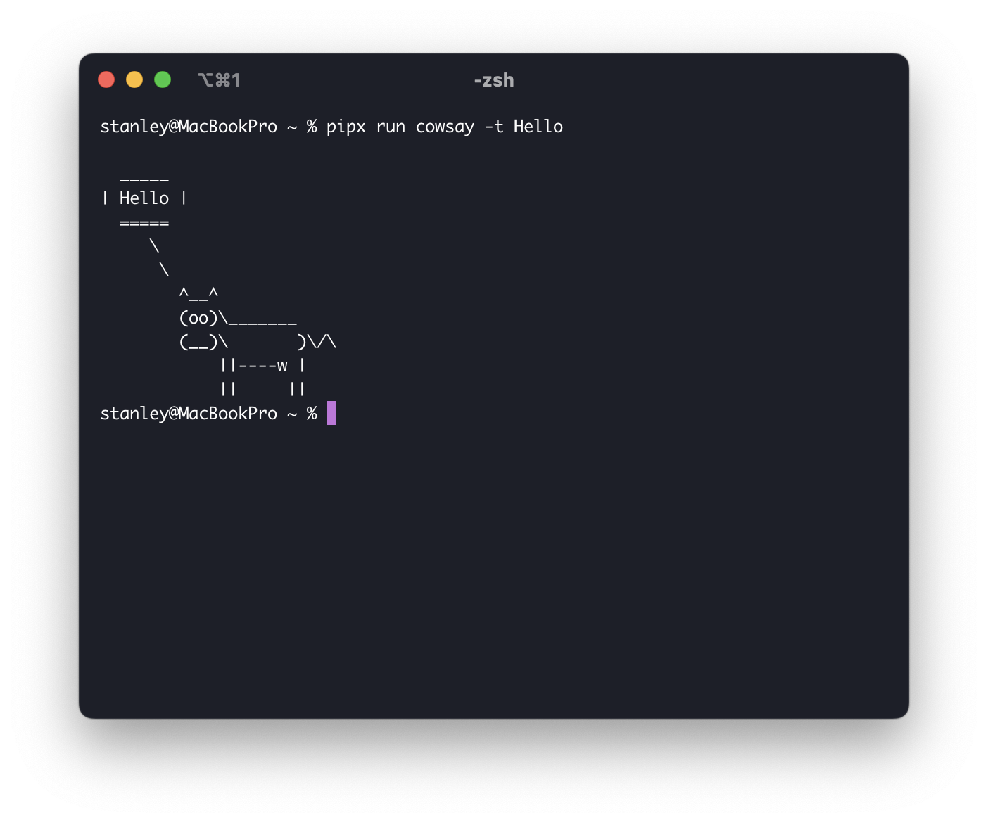 Screenshot of the output
