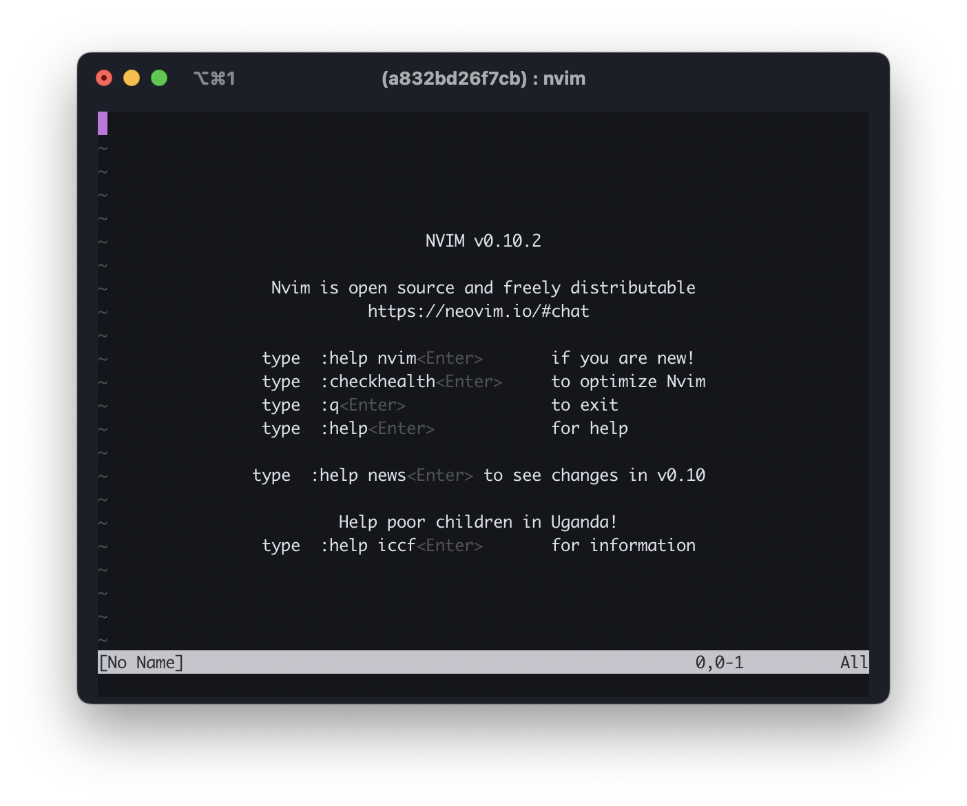 Screenshot showing neovim opened