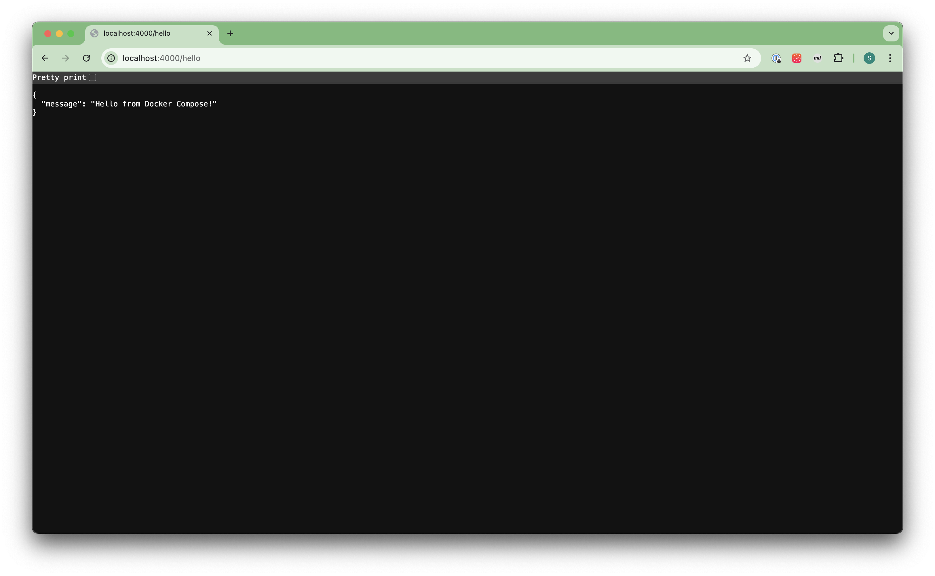 Screenshot showing that Docker Compose is serving the flask app