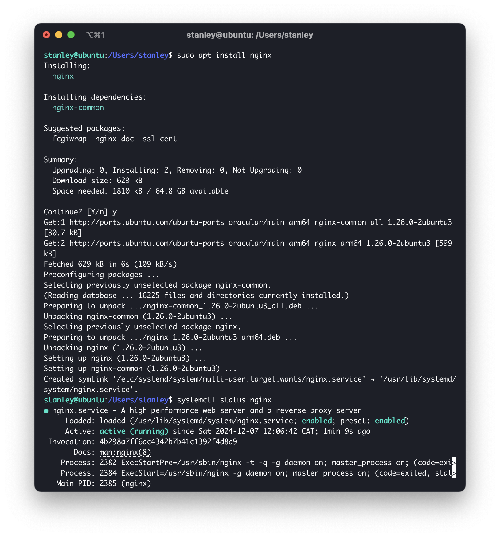 Screenshot of package installation in a Linux machine