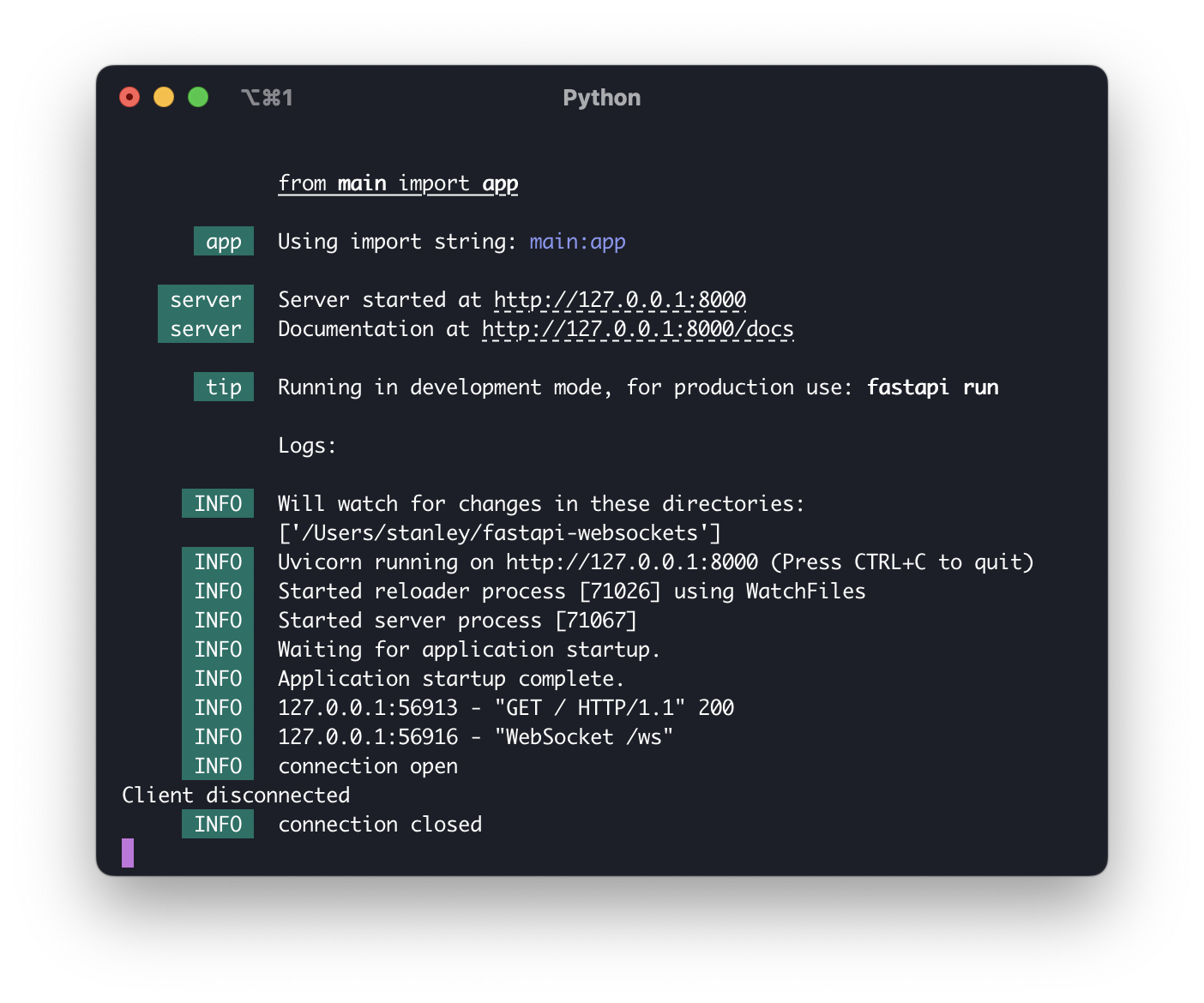 Screenshot of the FastAPI server