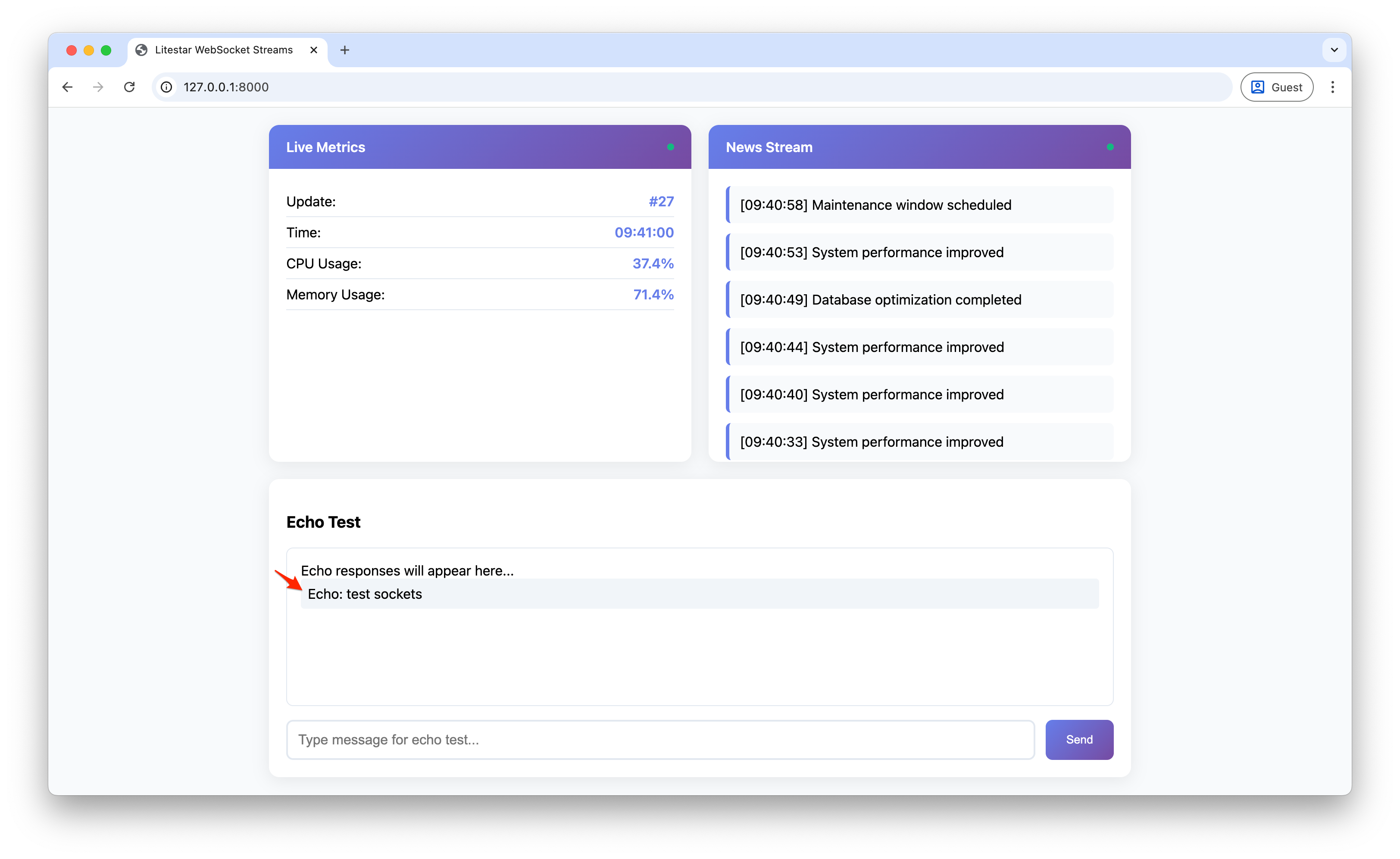 Screenshot showing the echo