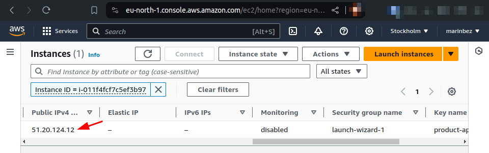 instance public IP