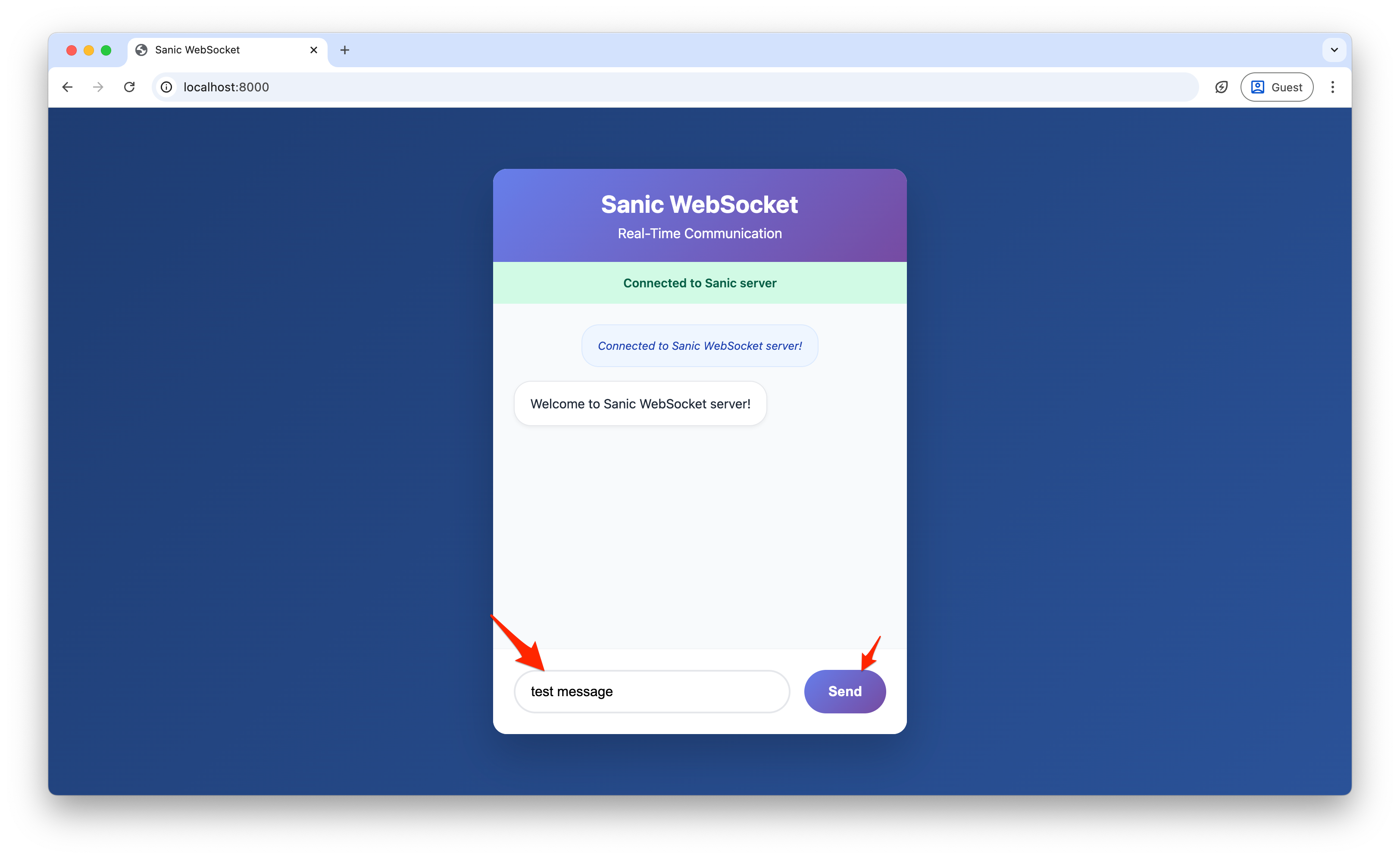 Screenshot showing the Sanic WebSocket chat interface with input field ready for messages