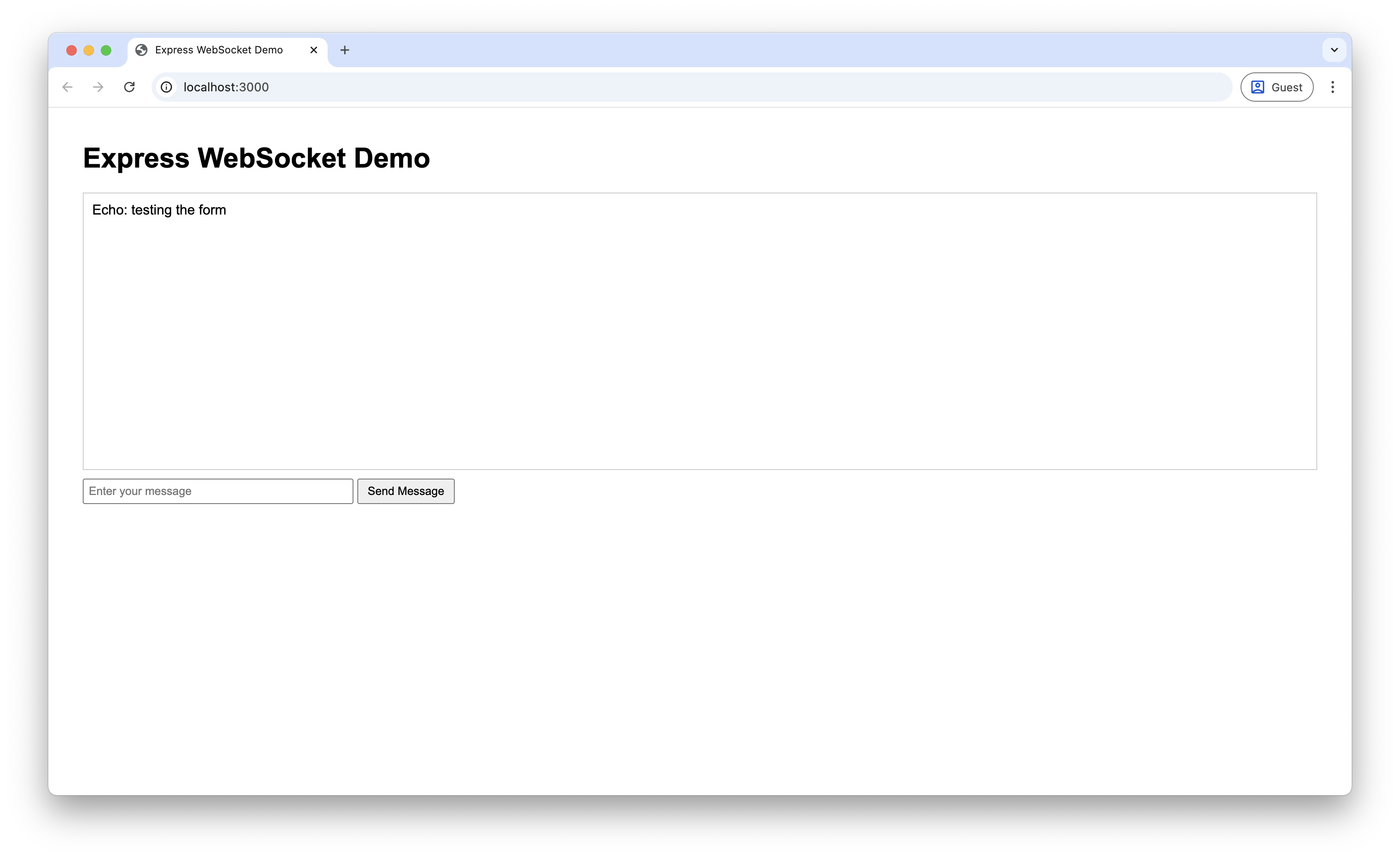 Screenshot of echoed message