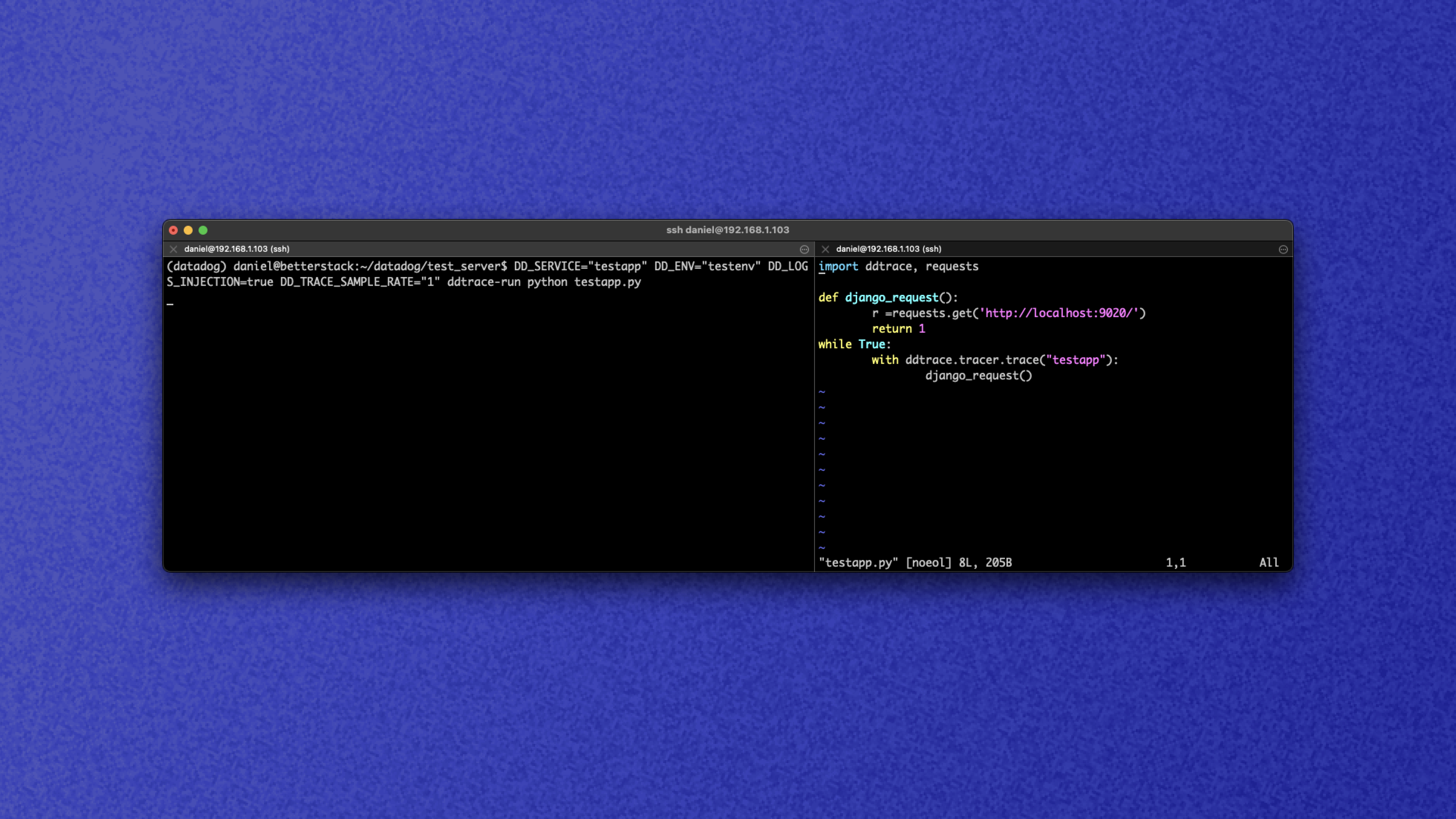 Datadog_CodeSnippet