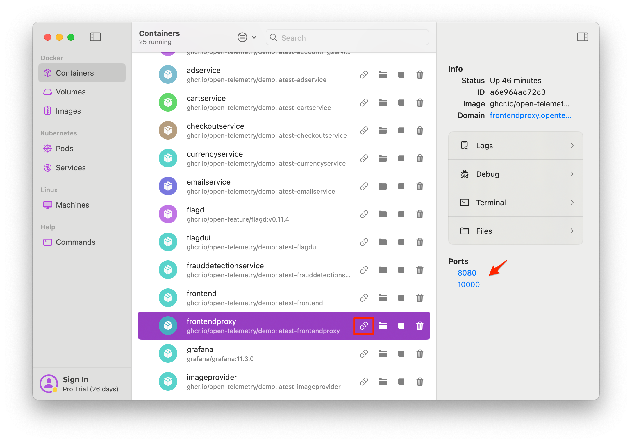 Screenshot of the link icon