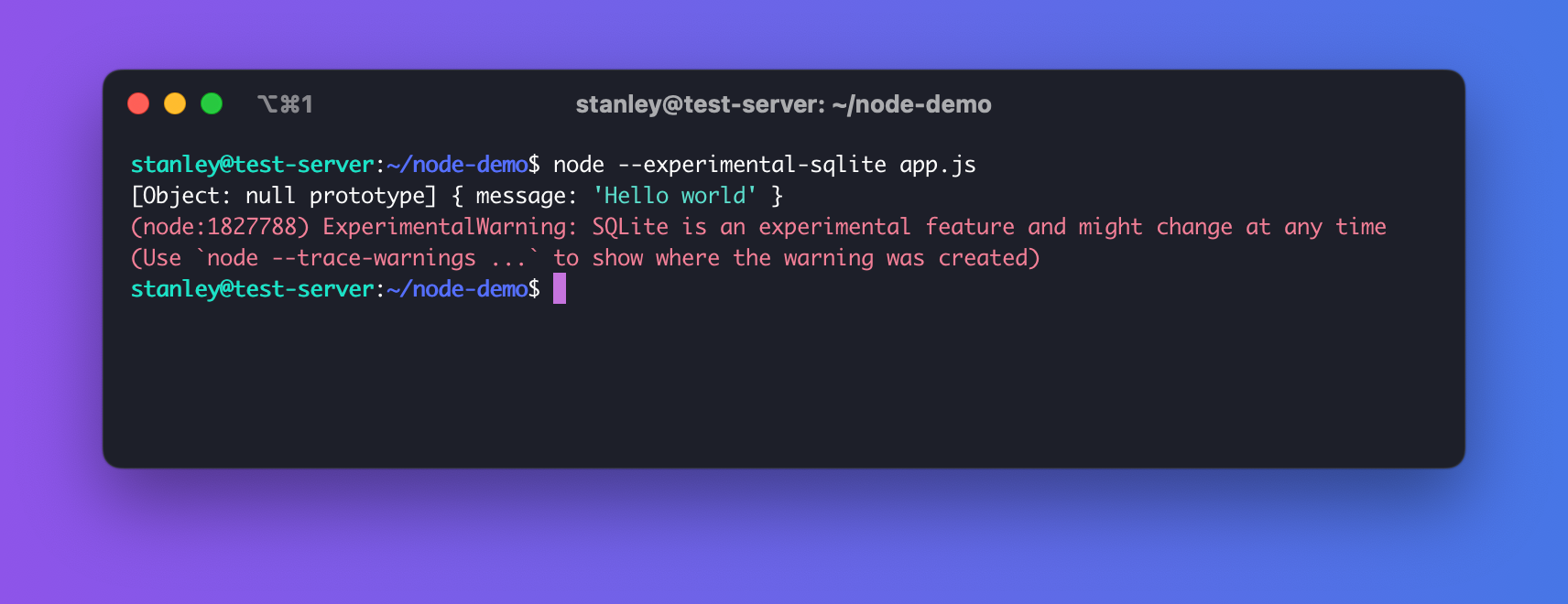 Screenshot of Node running SQLite