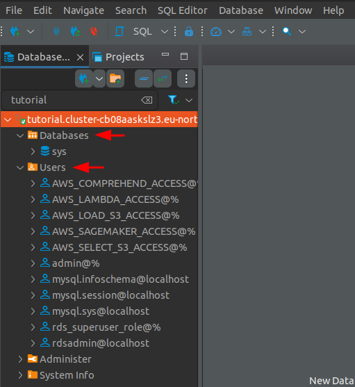 databases and users sections