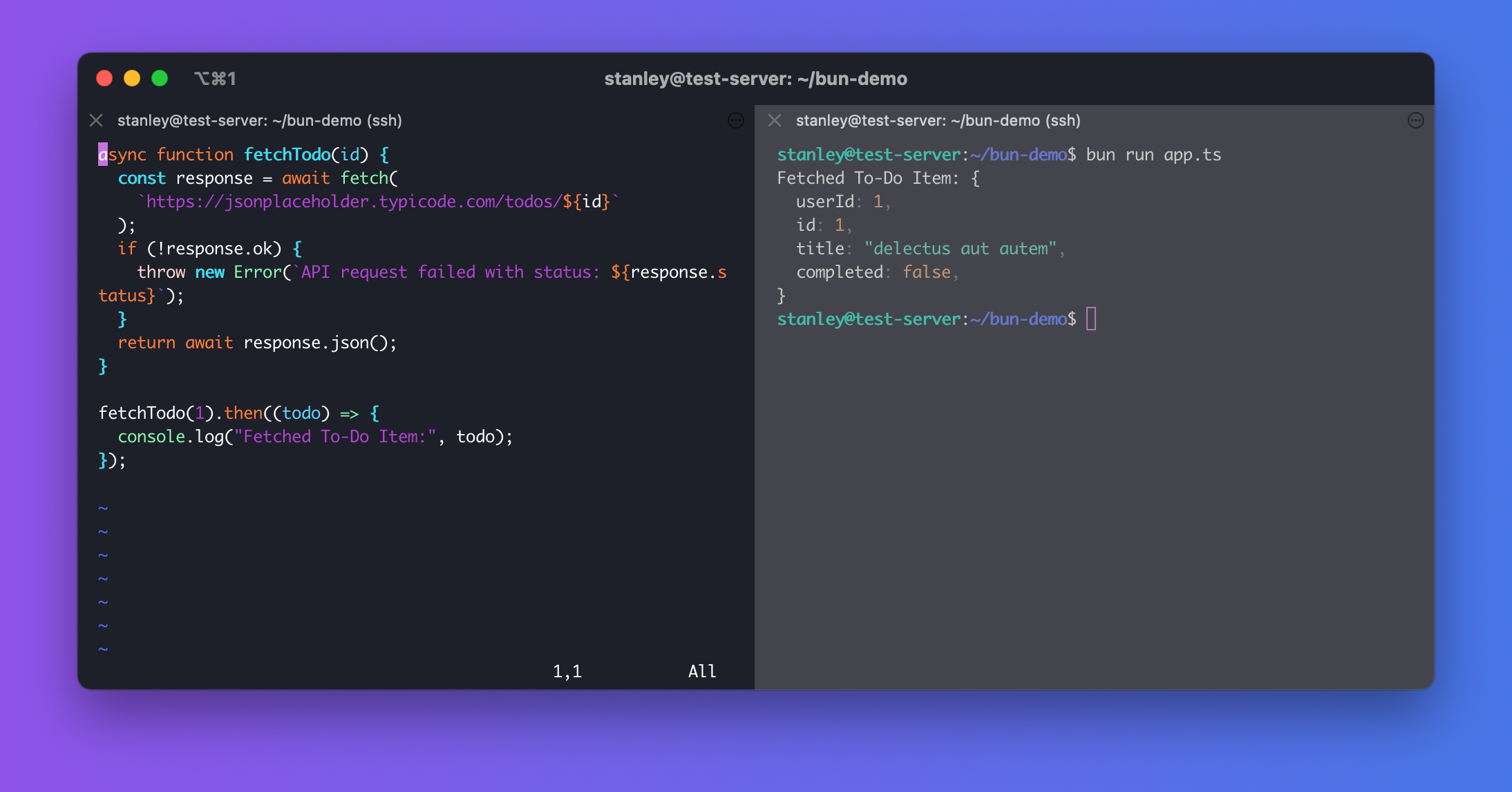 Screenshot showcasing Bun using the Fetch API
