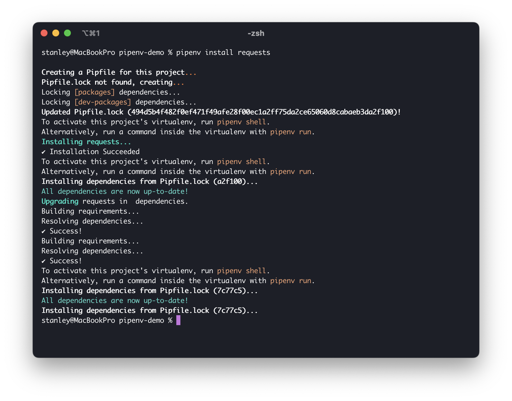 Screenshot of the pipenv output in the terminal with some colour